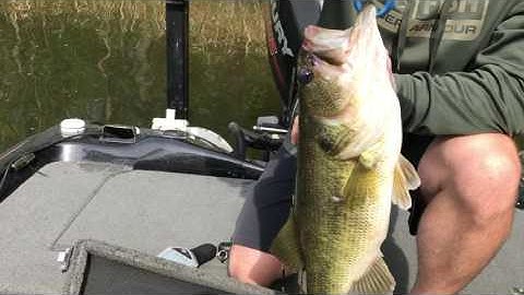 T-H MARINE CONSERVATION CULLING SYSTEM