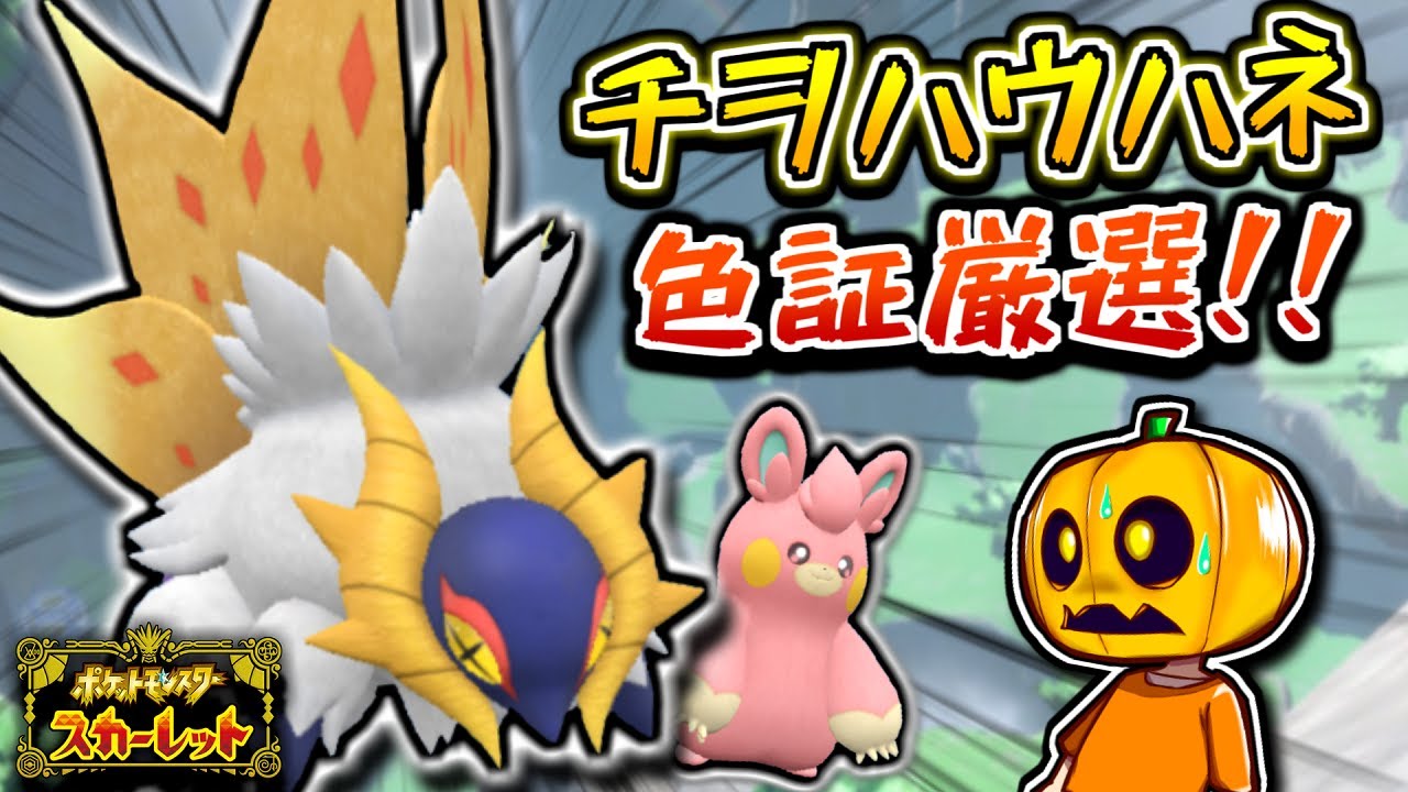 ポケモン 色違い チヲハウハネ 特大 ぬいぐるみ ポケットモンスター
