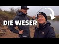 Ungewöhnlicher Fang an der Weser 😅 | Angeln auf Zander und Barsch in Nienburg/Weser | Vlog #107