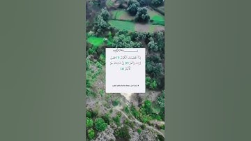 #سورة_الكوثر تلاوة خاشعة للقارئ الشيخ خالد الجليل