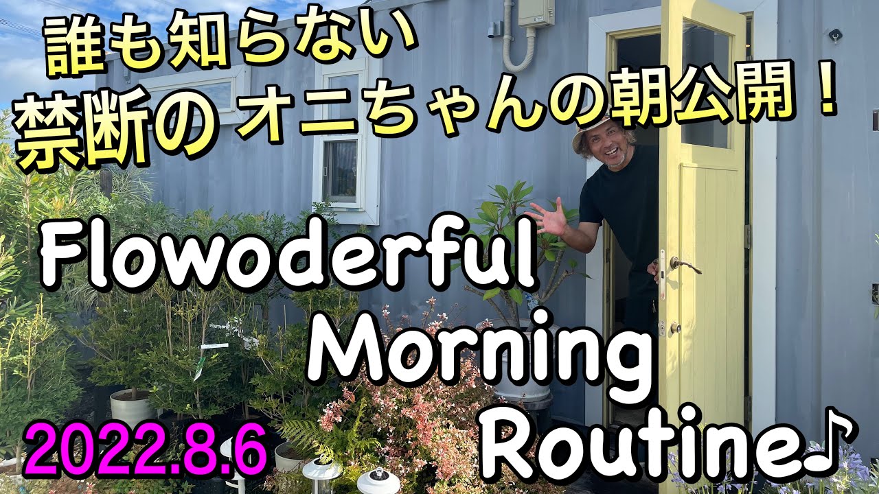 園芸店、店長の夏のモーニングルーティン ♪日々草とペチュニアのピンチ動画付き。