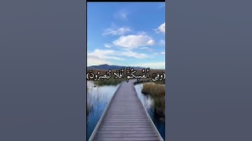 وَفِي اٌلسَّمَاًءِ رِزٓقُكٌم وَمَا تُوعَدٌونَ /سورة الذاريات /اسلام صبحي ❤️