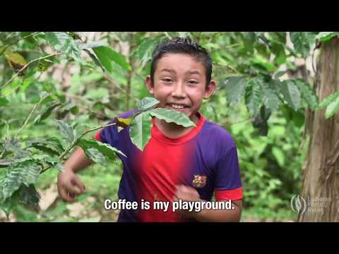 Lutheran World Relief and THRIVE Farmers Introduce LWR Farmers Market Coffee Sourced Directly from Farmers in Nicaragua