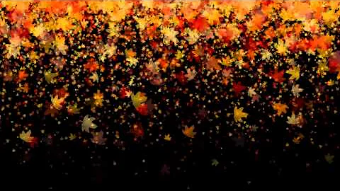 Leaves Falling -  Royalty Free effect video Footage VFX