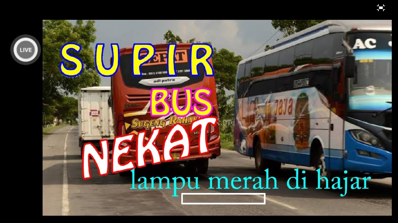 SUPIR BIS NEKAT