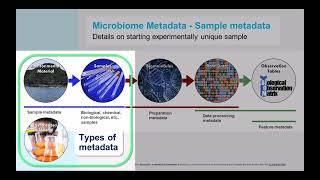 METADATA - Use and Importance of Metadata