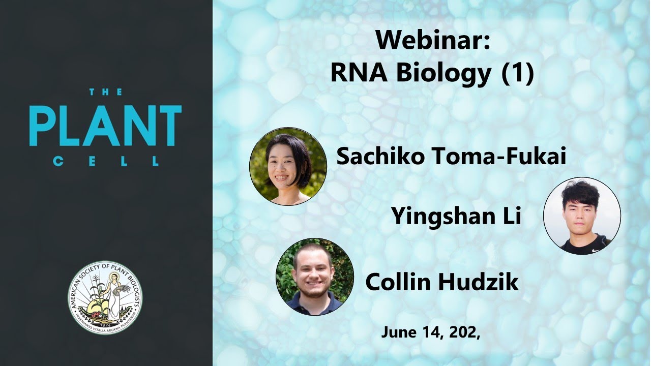 Plant Cell Webinar: RNA Biology (Part 1) - YouTube