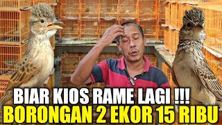 Download Lagu GA TEGA LIAT KIOS KAKEK INI JUAL BRANJANGAN LOKAL SEMURAH INI BELUM LAKU EFEK PASAR SEPI PENGUNJUNG MP3 Download Lagu GA TEGA LIAT KIOS KAKEK INI JUAL BRANJANGAN LOKAL SEMURAH INI BELUM LAKU EFEK PASAR SEPI PENGUNJUNG MP3