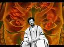 Terence McKenna's Story Time (Part 2)