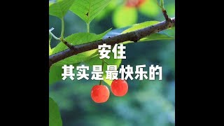 201506 安住 其实是最快乐的21904