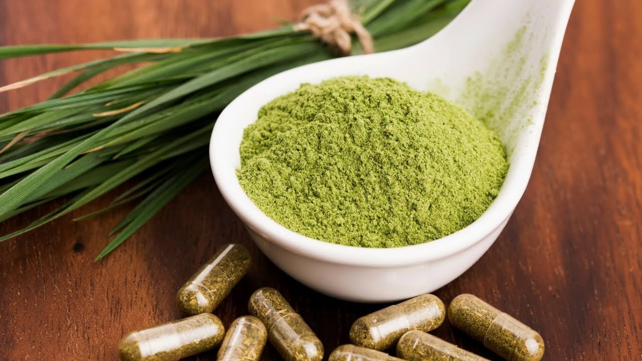 Alga espirulina y sus beneficiosSaludable Mente YouTube