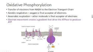 Chapter 8 OpenStax Microbiology