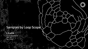 Samples by Loop Scope - LS.s04