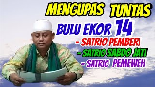 Katuranggan Perkutut || mengupas tuntas bulu ekor 14 satrio pemberi, pemeweh ,sartio sabdo jati