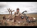 DIY ALASKAN CARIBOU WITH BOW