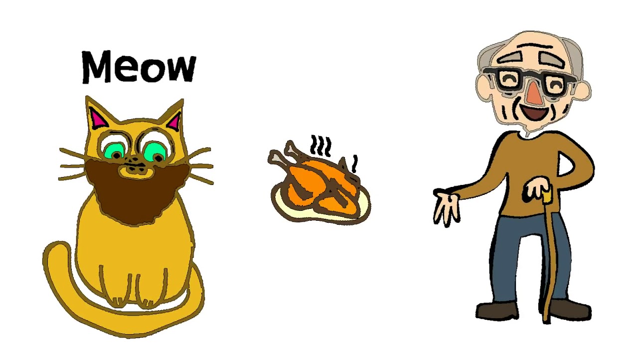 I Wanna Get A Cat YouTube