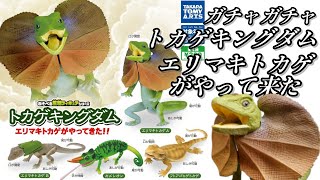 【ガチャガチャ】あそべる生物フィギュアシリーズ『トカゲキングダム〜エリマキトカゲがやって来た！〜』【＠タカラトミーアーツ】＃capsuletoys