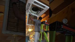 IMG 4050