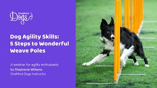 FREE Webinar: Dog Agility Skills  5 steps to wonderful weaves