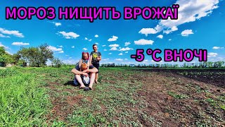 В УКРАЇНІ АГРАРІЇ НЕ ЗАСТРАХОВАНІ🇺🇦😔‼️ КАРТОПЛЯ ВИМЕРЗЛА І РОЗСАДА ТАКОЖ🥺🥔🌱‼️ ПЕРЕЖИВЕМО І ТАКЕ💪