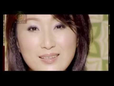 王瑞霞 辦桌阿傑 專輯愛情護法1 我愛潦落去  MV精選組合4