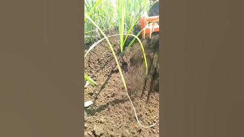 Soiltech Agro Engineering Rajkot (Gujarat) Reverse Forward Rotavator