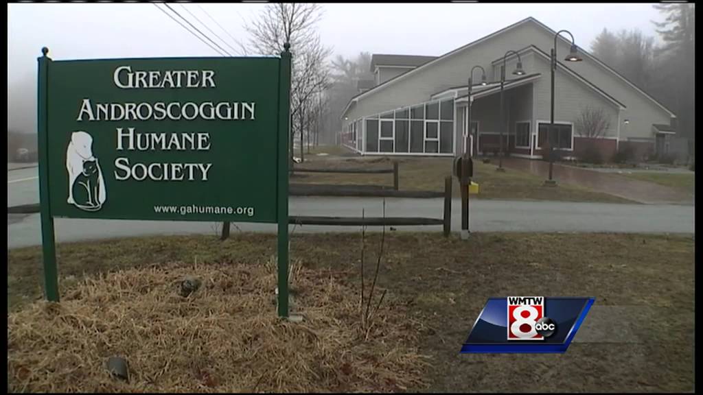 Abandoned Dog Owner Charged with Animal Cruelty - YouTube