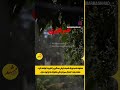 مشهد بارشبارانبرفشنبه یکشنبهسالنو۱۴۰۴ mp3