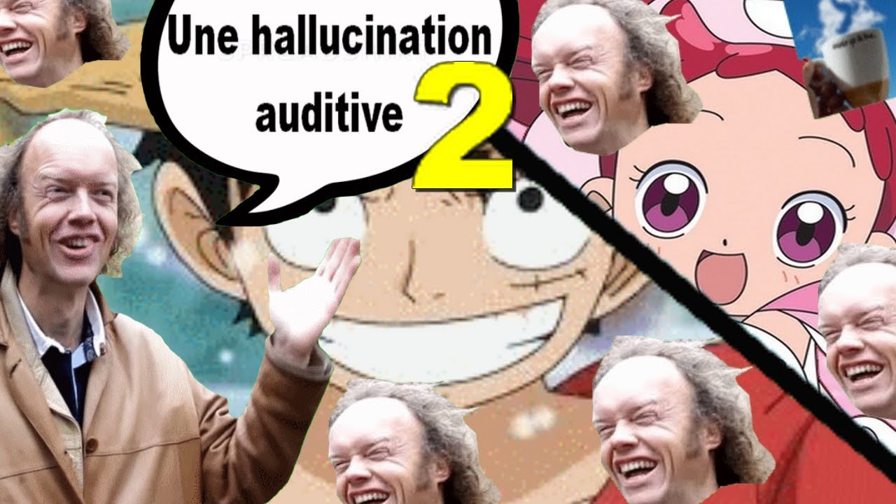 C'est tout simplement une hallucination auditive ! n°2 (One piece et