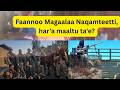 Bitootessa 7 2026 Faannoon Har A Magaalaa Naqamteetti Mala Goote