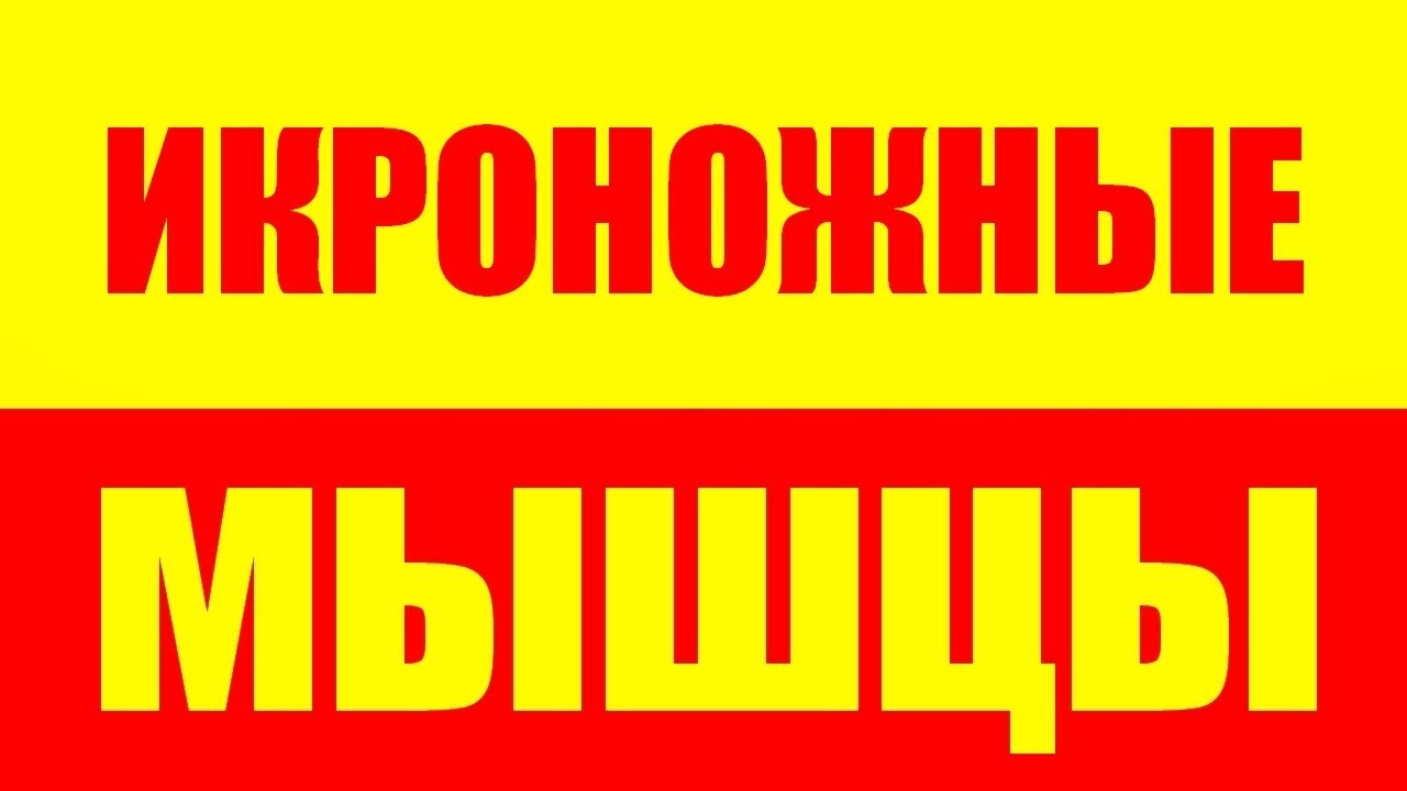 Как накачать икры, голень, икроножные мышцы