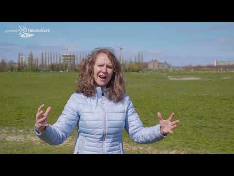 Kasteelterrein Oud Haerlem in Heemskerk: dit ligt onder de grond