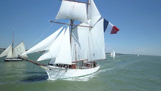 Débord de Loire 2019 - Le Belem, La Belle-Poule, Biche et les autres - Sortie en mer