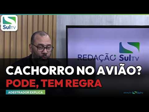 Cão educado pode circular em qualquer espaço, defende adestrador de Camaquã