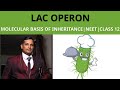 56.LAC OPERON| SWITCH OFF, ON OF GENES|MOLECULAR BASIS OF INHERITANCE| CLASS 12| NEET| BIOLOGY