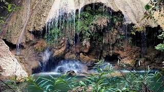 Relaxing Water Stream 🌿 Pure Nature Sounds for Deep Focus, Sleep and Mindful Zen Meditation 🍃