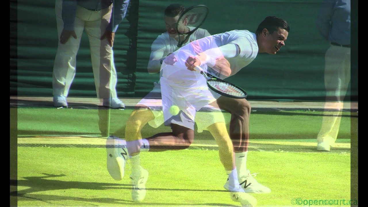 Milos Raonic v Daniel Gimeno-Traver