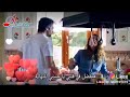 هتفضل في قلبي   نجومي