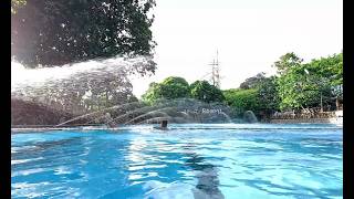 Bosay Resort Rizal | Christmas Party 2025 Highlights