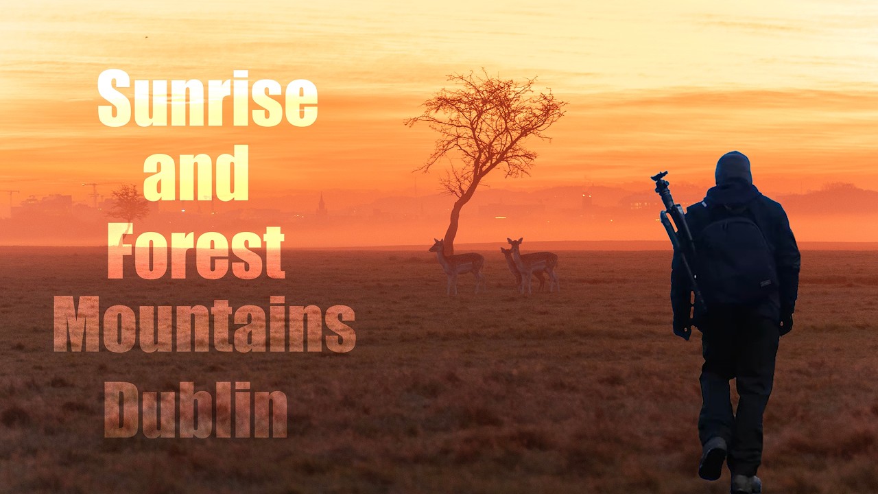 Восход солнца и пеший поход по лесу в горах Дублина