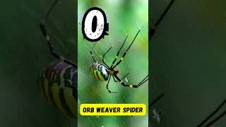 ABC Dangerous Insects Song for Kids | Insects from A to Z | Phonics & Bug Learning | #abcd #kids