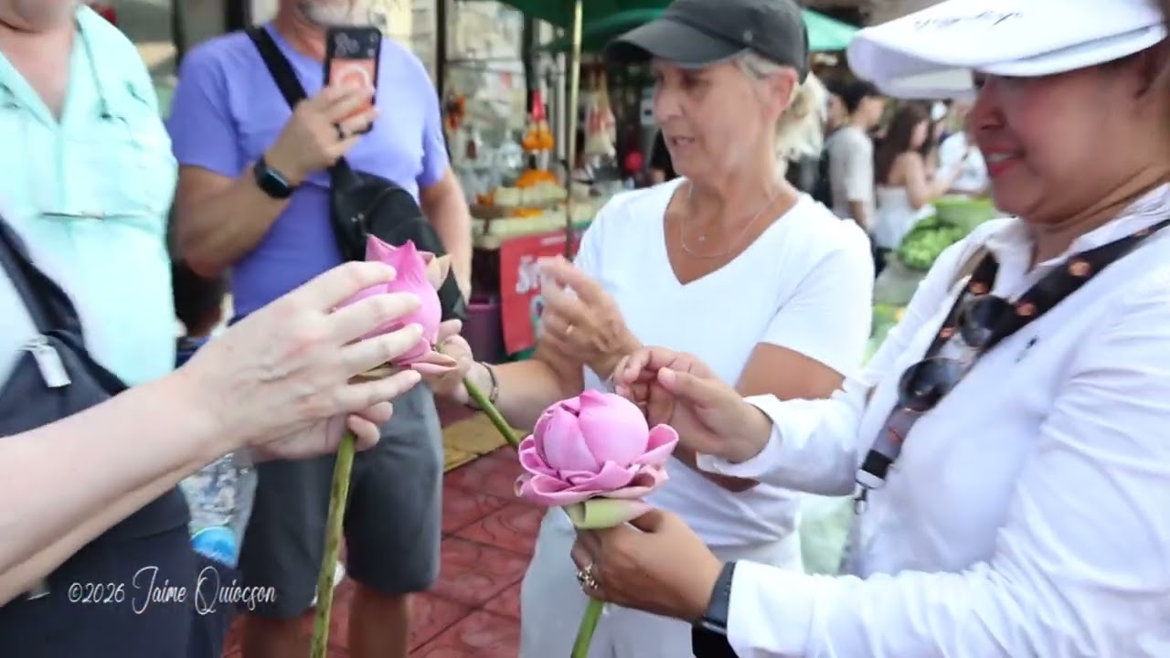 Lotus Flower Peeling In Bangkok, Thailand. (2026)