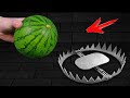 Experiment: Trap VS Watermelon 🍉
