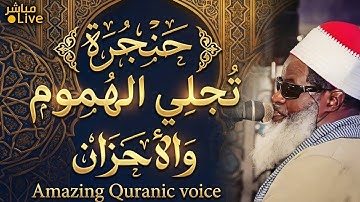 تلاوة مؤثرة بصوت رخيم تمنحك إحساس القرب من الله مع كل حرف 😌 | Heartwarming Quran