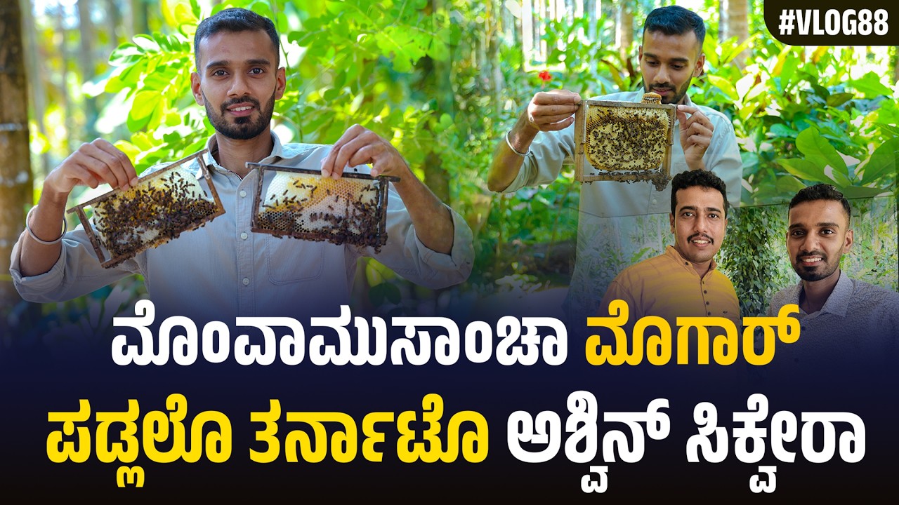 ಮೊಂವಾಮುಸಾಂಚಾ ಮೊಗಾರ್ ಪಡ್ಲಲೊ ತರ್ನಾಟೊ ಅಶ್ವಿನ್ ಸಿಕ್ವೇರಾ | ROSHAN | ASHWIN | VLOG 88