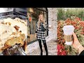 VLOG: exploring my new town, homemade cinnamon rolls + Brody loses a tooth!!