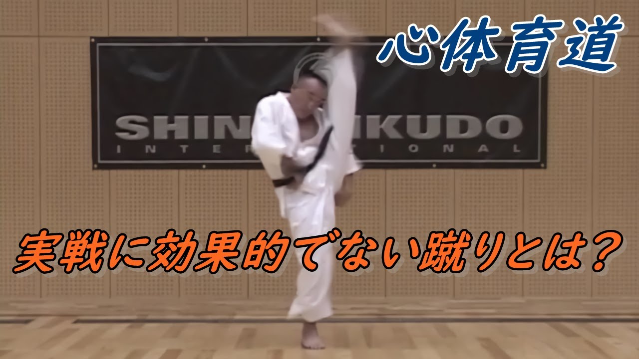 DVD 　武術　心体育道　空手　護身術　上段　中段　下段　健康法 　廣原誠 DVD 武術 心体育道 空手 護身術 上段 中段 下段 健康法 廣原誠 廣原