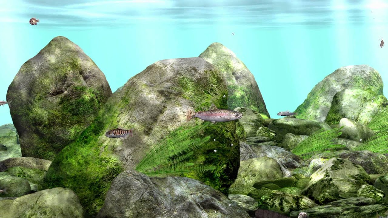 昼寝・仮眠用アラーム 15分版 （15min later Alarm for Napping)