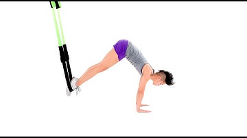 Primal 7 Push to Pike