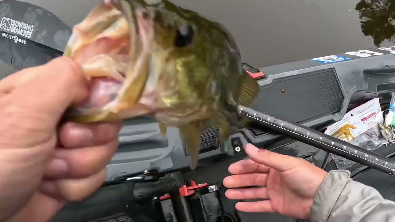 Kayak Bass Fishing Coon Fork Lake While Camping (2nd Outing)